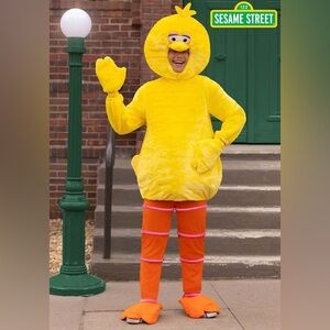 Big bird costume adult